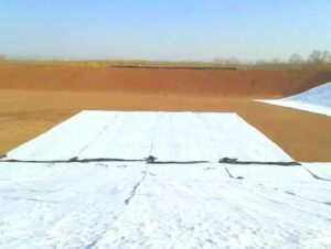 Buy China Geomembranes For Mining Anti-seepage Projects